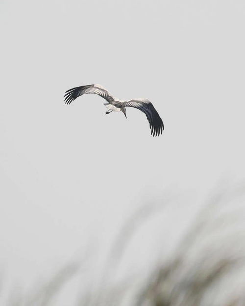 梦的方向,梦的方向 歌词