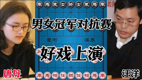 棋王赏析,棋王茨园到底讲了什么