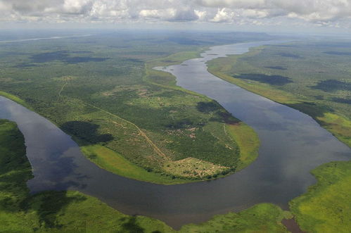 欧洲最长的河流,欧洲最长河?