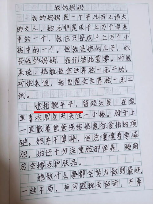 母亲 作文,母亲的优秀作文