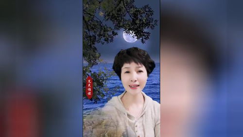 母亲的目光,母亲的目光像什么