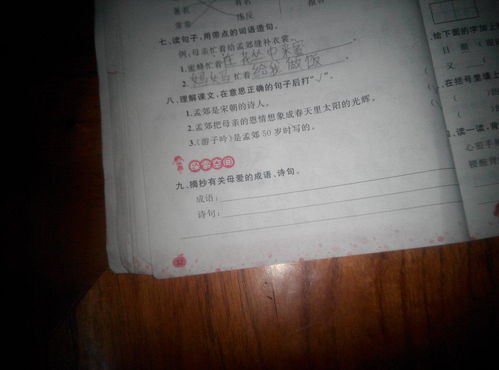 母爱的俗语,关于母爱的俗语是什么