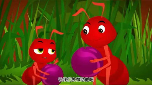 毛毛虫变蝴蝶的过程,毛毛虫变蝴蝶的过程是什么