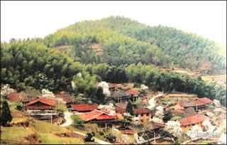 毛竹之乡,哪个城市叫毛竹之乡