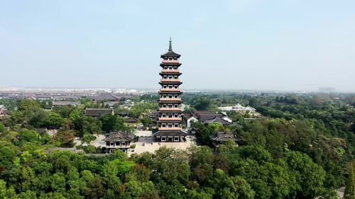 毛老太扬州,扬州老太太疫情判刑多少年