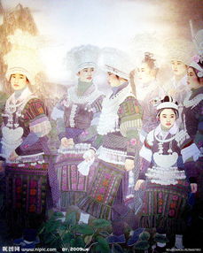 民族之花,民族之花指的是什么？