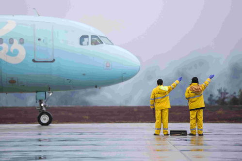 民航安排航班接900人回国,回国航班激增，导致激增的原因是什么？