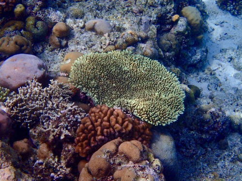 气候变化无常,西藏高原的气候变化无常(是不是病句)