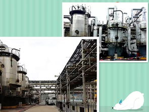 气化,气化名词解释