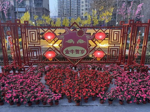 气氛,气氛怎么读