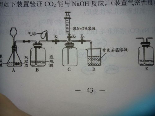 氢氧化钠和二氧化碳反应方程式,氢氧化钠与二氧化碳反应的化学方程式是什么？