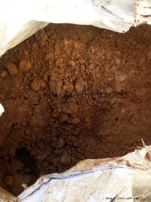 氢氧化钴受热易分解,初中化学