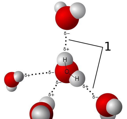 氢键作用,氢键是什么,有什么用处?
