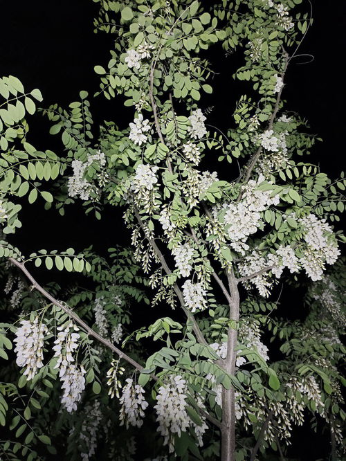 沁人心脾,沁人心脾的意思解释词语