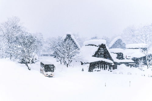 没有一个冬天不可逾越没有一个春天不会来临,没有一个冬天不可逾越没有一个春天不会来临什么意思？