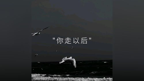 没有你的日子里,没有你的日子里是什么歌