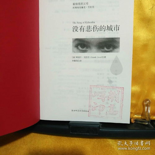 没有悲伤的城市,你理想中的城市是怎么样的呢请你展开想象做一个城市设计师分几个方面写你向往的城市 想象作文。