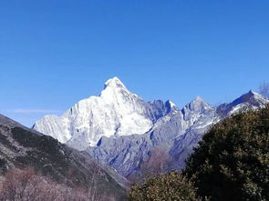 没有比人更高的山 没有比脚更长的路,没有比人更高的山，没有比脚更长的路出自哪里