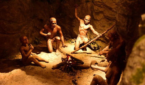 没有毛发的墨西哥人,王朔创作年表