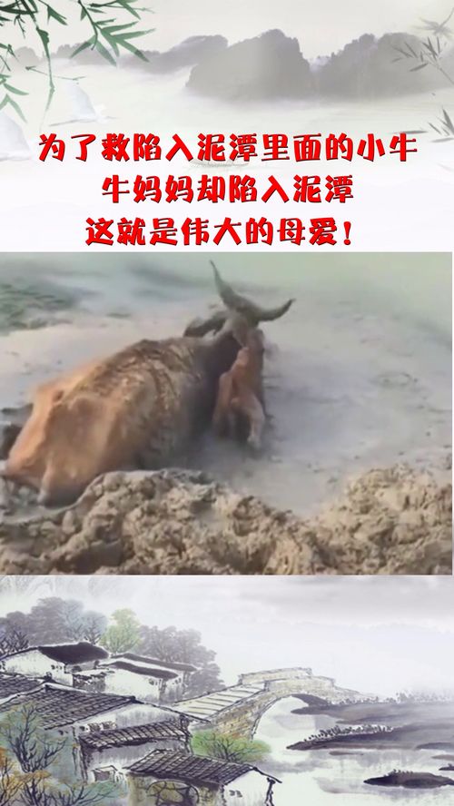 泥潭的拼音,泥潭的拼音及解释