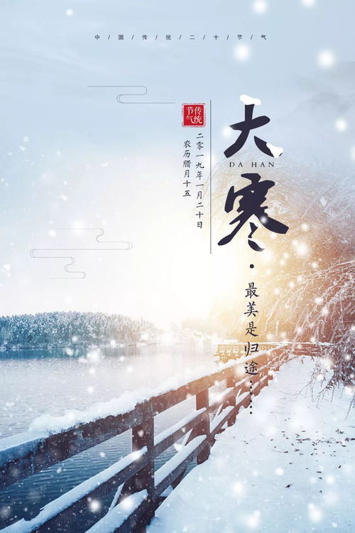 洛阳亲友如想问,洛阳亲友如相问全诗