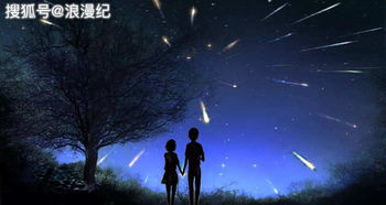 流星物语,哪里有正品陨石