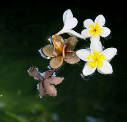 流水落花春去也,流水落花春去也,天上人间,出自哪首诗?全诗是什么?