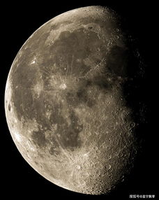 流浪月球,流浪月球歌词