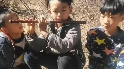 流离浪荡,“流離浪蕩”这个成语是什么意思