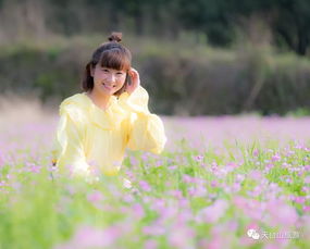 浅浅的,歌曲“浅浅的”歌词