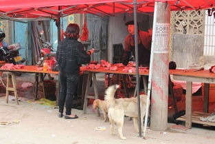 浅星,大秦帝国第20集荆南给卫鞅的布上写的是什么