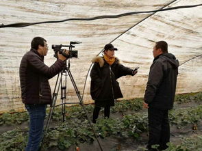 浓浓的乡情,浓浓的乡情是什么意思