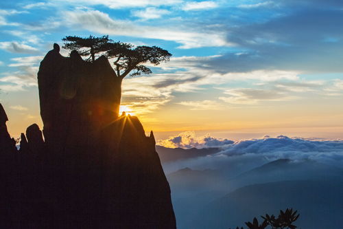 清奇俊秀的意思,清奇俊秀是什么意思