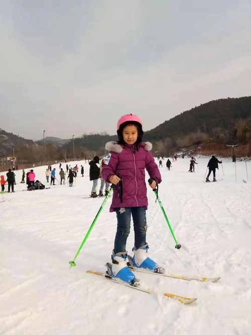 清平乐之春归何处,清平乐·春归何处的全诗？