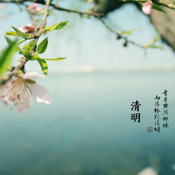 清明节作文400字优秀作文,清明节作文400字六年级
