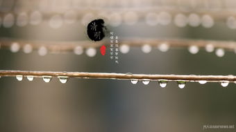 清明节的作文400,清明节的作文400字