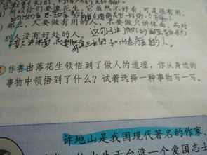 清明节的日记150字,清明节的日记