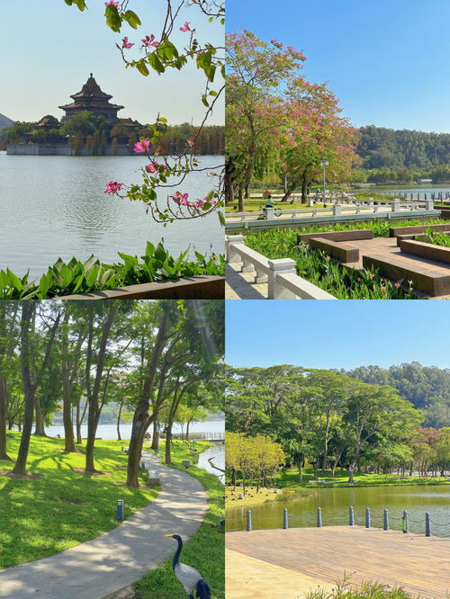 清水公园,水寨清水公园在哪里