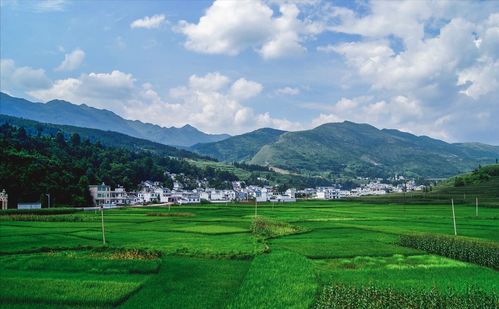 清爽宜人的意思,清爽宜人的解释!!!