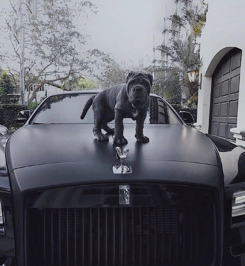 清贫思想,清贫这篇课文表达了怎样的思想感情？