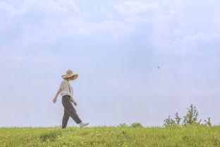 清风徐来 水波不兴,清风徐来水波不兴的意思是什么