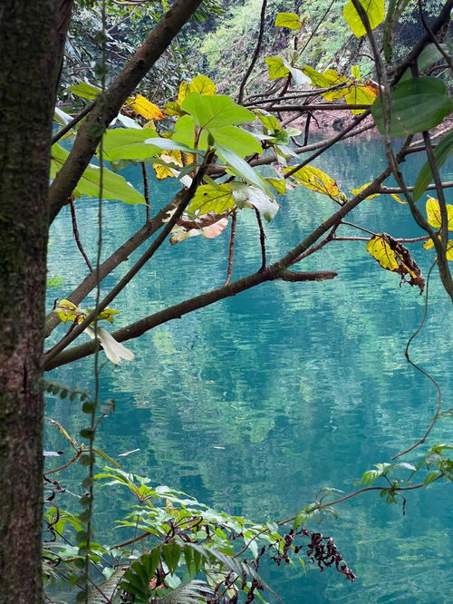 清风拂山岗,“清风拂山岗明月照大江”什么意思？