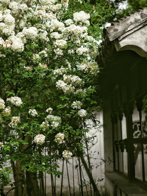 清风明月本无价 近水遥山皆有情,清风明月本无价近水遥山皆有情.全诗