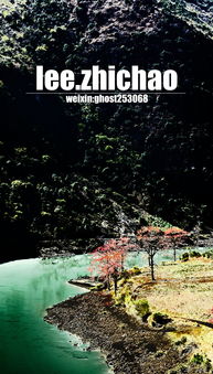 清风明月本无价近水遥山皆有情,清风明月本无价近水远山皆有情的意思简单点