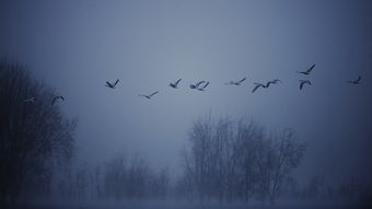 渺茫,渺茫的拼音