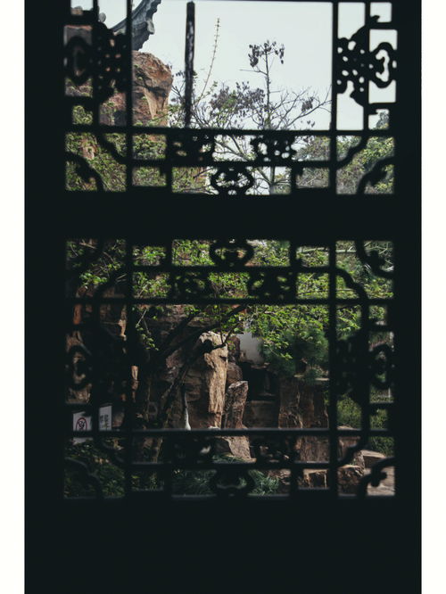 满楼都素我的人,满楼都素我的人和满楼水平有何区别?