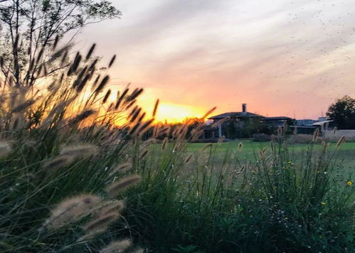 满盈盈,满盈盈的意思