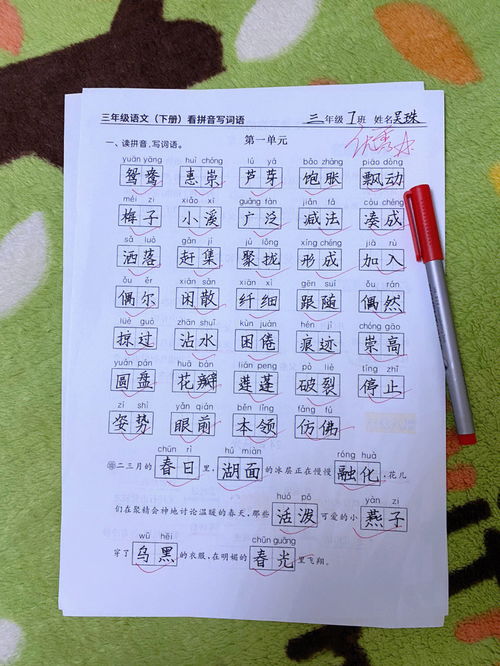 满组词,满组词有哪些词语