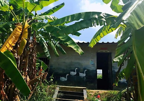 漠漠水田飞白鹭 阴阴夏木啭黄鹂,阴阴夏木啭黄鹂上一句