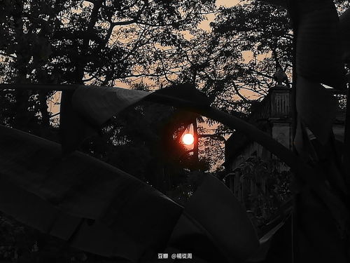 漫灭是什么意思,漫灭什么意思